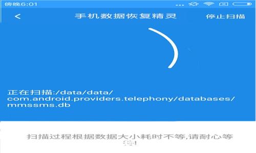 如何在麦子钱包中增加Token:详尽指南