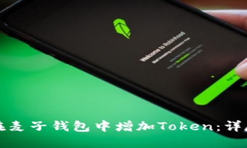 如何在麦子钱包中增加Token:详尽指南