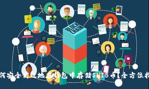 如何安全高效地在钱包中存储SHIB币?全方位指南