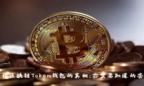 揭开区块链Token钱包的真相:你需要知道的套路