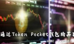 如何通过Token Pocket钱包购