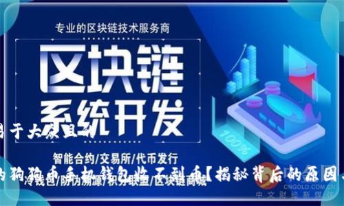 思考一个易于大众且的

为什么你的狗狗币手机钱包收不到币？揭秘背后的原因与解决方案