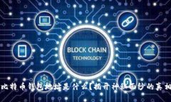 比特币钱包地址是什么？