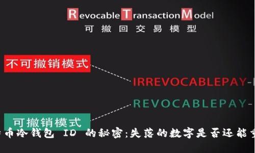 找回比特币冷钱包 ID 的秘密：失落的数字是否还能重见天日？