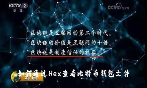 如何通过Hex查看比特币钱包文件