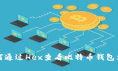 如何通过Hex查看比特币钱