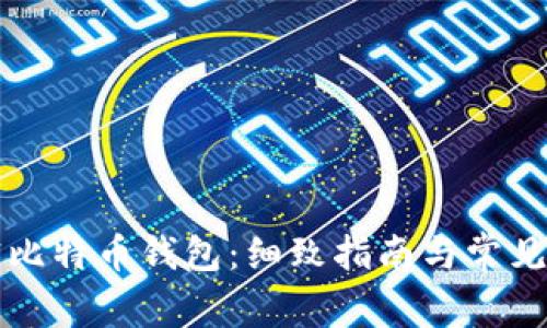 如何解密比特币钱包：细致指南与常见问题解析