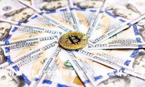 比特派钱包USDT转账失败的原因及解决方案