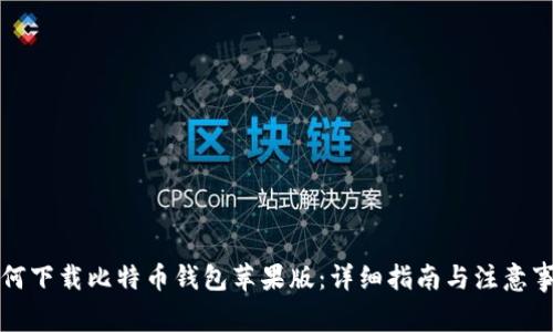 如何下载比特币钱包苹果版：详细指南与注意事项